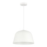 Подвесной светильник evoluce BLANK SLE1805-503-01