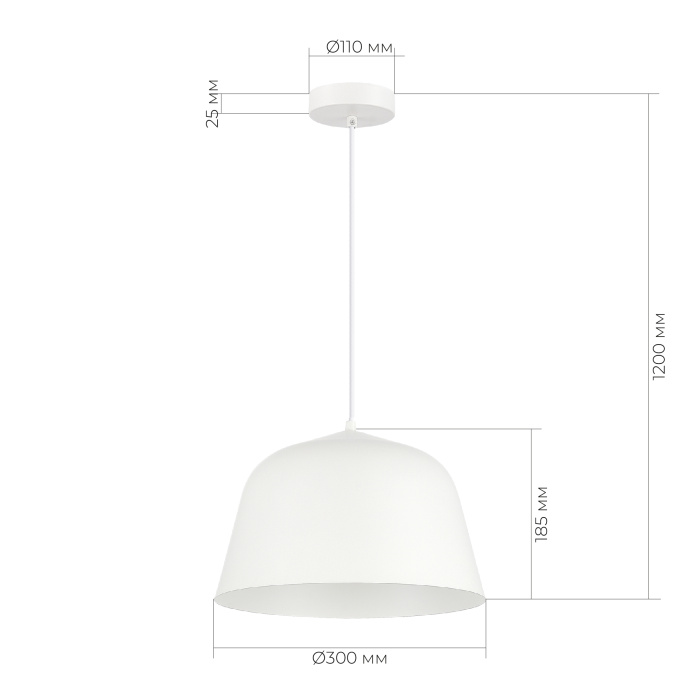 Подвесной светильник evoluce BLANK SLE1805-503-01