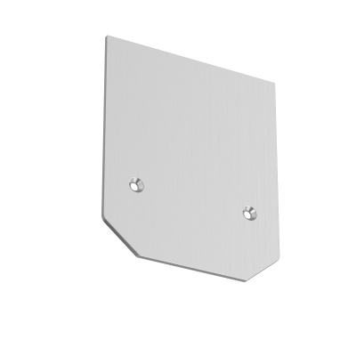 Заглушка торцевая для профиля Maytoni TRA004MPEC-21S