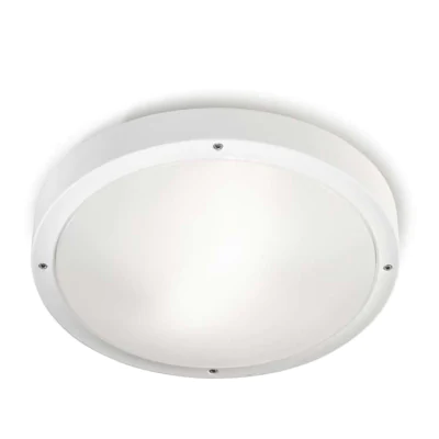 Уличный потолочный светильник OPAL 15-9677-14-CM