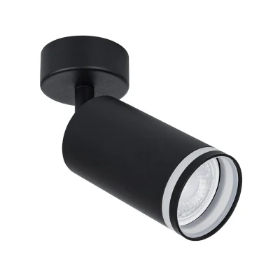 Спот накладной со сменной лампой Arte Lamp IMAI A2365PL-1BK