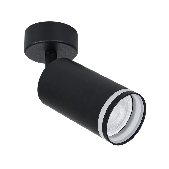 Светильник точечный накладной со сменной лампой Arte Lamp IMAI A2365PL-1BK