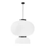 Подвесной светильник evoluce Lykke SLE6021-513-02