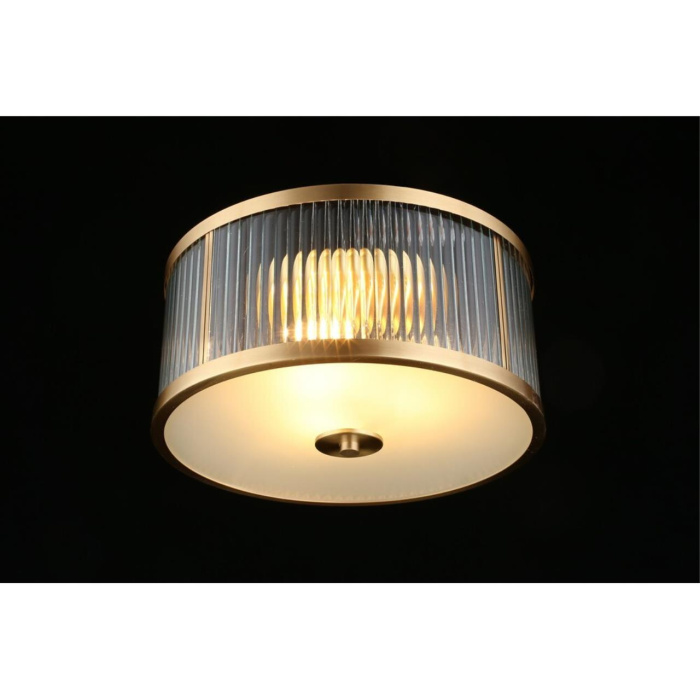 Потолочный светильник Aployt Matteo APL.624.07.03