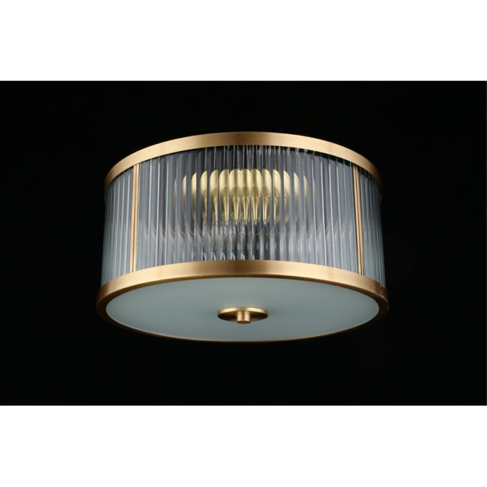 Потолочный светильник Aployt Matteo APL.624.07.03