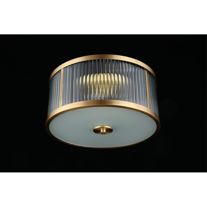 Потолочный светильник Aployt Matteo APL.624.07.03