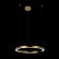 Светильник подвесной LOFTIT Ring 10013L
