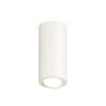 Комплект накладного поворотного светильника Ambrella light XS7442001