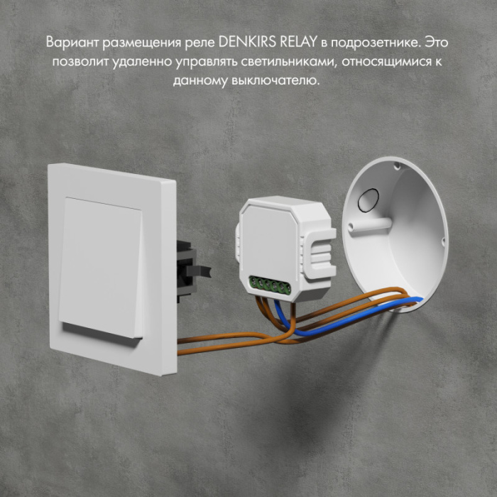 Wi-Fi реле Denkirs Relay RL1003-DM