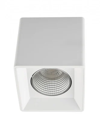 Накладной светильник Denkirs DK3020WC DK3080-WH+CH