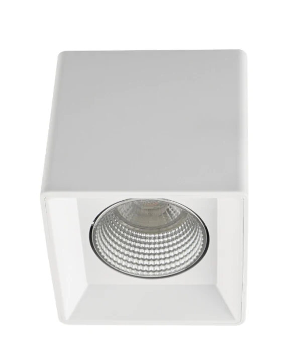 Накладной светильник Denkirs DK3020WC DK3080-WH+CH