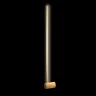 Настенный светильник Loft it Rays 10056GD