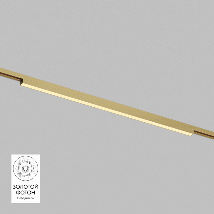 Светильник на шине Denkirs SHINE LINEAR DK5752-SB