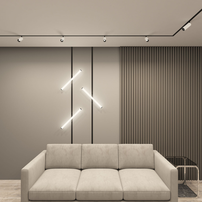 Светильник на шине Denkirs SMART SPOT DK8040-BW+BK