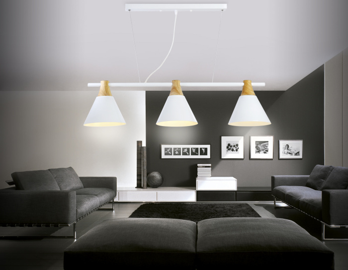 Подвесной светильник в стиле лофт Ambrella light TR8196