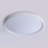 Потолочный светодиодный светильник с высокой степенью защиты IP54 Ambrella light FZ1246
