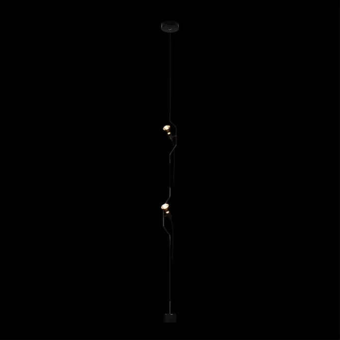 Подвесной светильник Loft it Parentesi 10346/2 Black