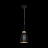 Подвесной светильник Loft it Watchman LOFT4402A-BL