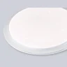 Потолочный светодиодный светильник ORBITAL AMBRELLA LIGHT FZ770