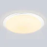 Потолочный светодиодный светильник ORBITAL AMBRELLA LIGHT FZ770
