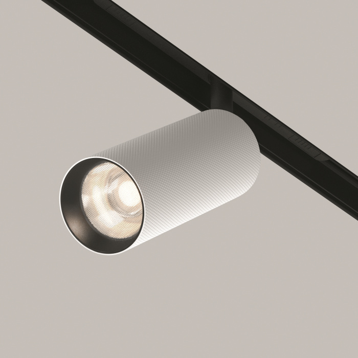Трековый светильник Maytoni Artisan TR097-2-12W4K-M-BW