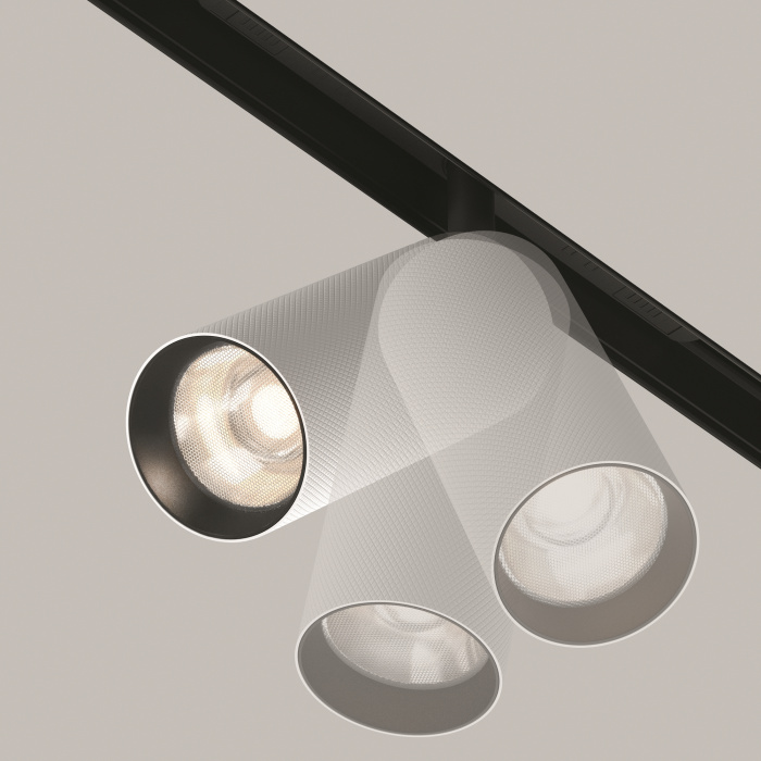 Трековый светильник Maytoni Artisan TR097-2-12W4K-M-BW