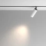 Трековый светильник Maytoni Artisan TR097-2-12W4K-M-BW