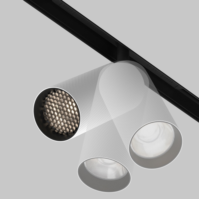 Трековый светильник Maytoni Artisan TR097-2-12W4K-M-BW