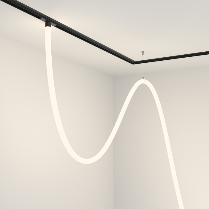 Трековый подвесной светильник Maytoni Tau TR101-2-100W4K-B