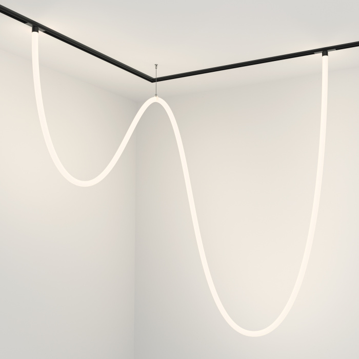 Трековый подвесной светильник Maytoni Tau TR101-2-100W4K-B