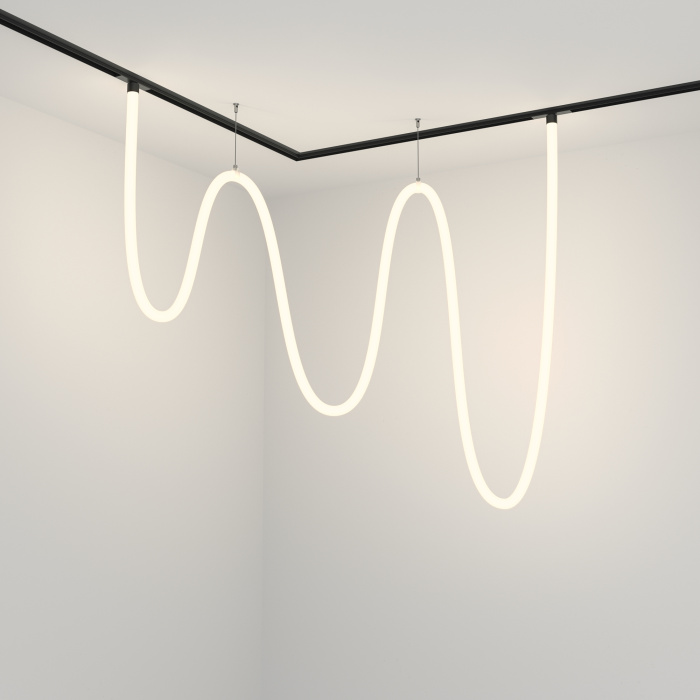 Трековый подвесной светильник Maytoni Tau TR101-2-100W4K-B