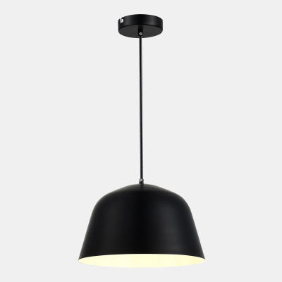 Подвесной светильник evoluce BLANK SLE1805-403-01