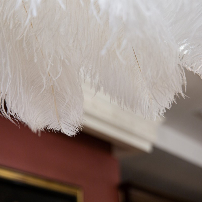 Светильник подвесной Feather Lamp L’ARTE LUCE LUXURY L03408.02