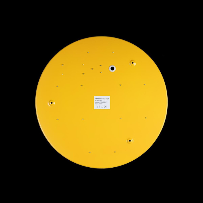 Светильник потолочный LOFTIT Axel 10002/24 Yellow