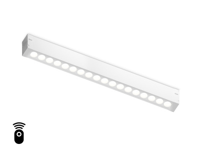 Управляемый светодиодный светильник для шинопровода Magnetic 220V диммируемый 3000-6400K Ambrella light GL1311