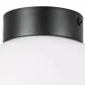 Потолочный светильник Lightstar Globo 812117