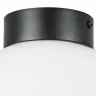 Потолочный светильник Lightstar Globo 812117
