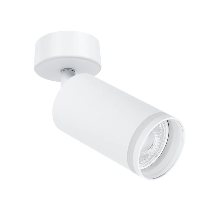 Светильник точечный накладной со сменной лампой Arte Lamp IMAI A2365PL-1WH
