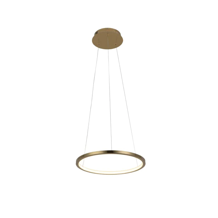 Светильник подвесной LOFTIT Ring 10014S