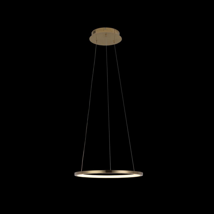 Светильник подвесной LOFTIT Ring 10014S