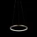 Светильник подвесной LOFTIT Ring 10014S