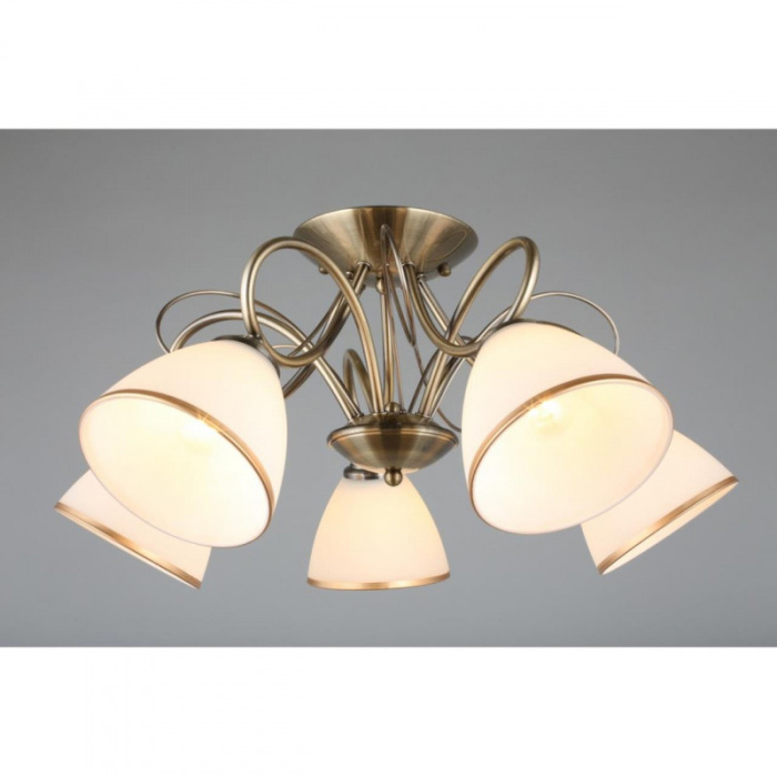 Люстра потолочная Omnilux Alimini OML-25307-05