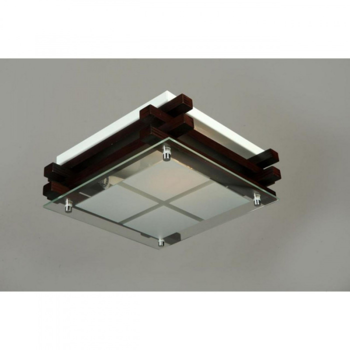 Светильник настенно-потолочный Omnilux Carvalhos OML-40507-02