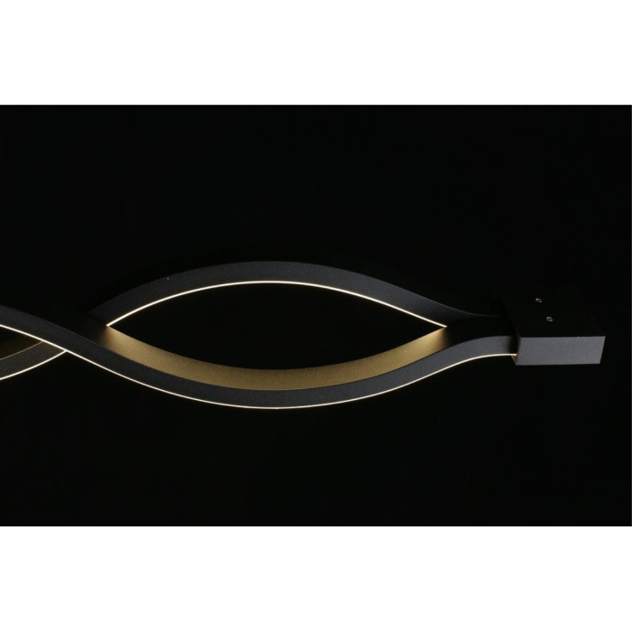 Светильник настенно-потолочный Aployt Nadayn APL.002.12.36