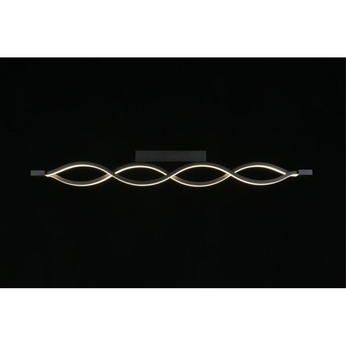 Светильник настенно-потолочный Aployt Nadayn APL.002.12.36