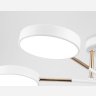 Потолочный светодиодный светильник Ambrella Light FL516331