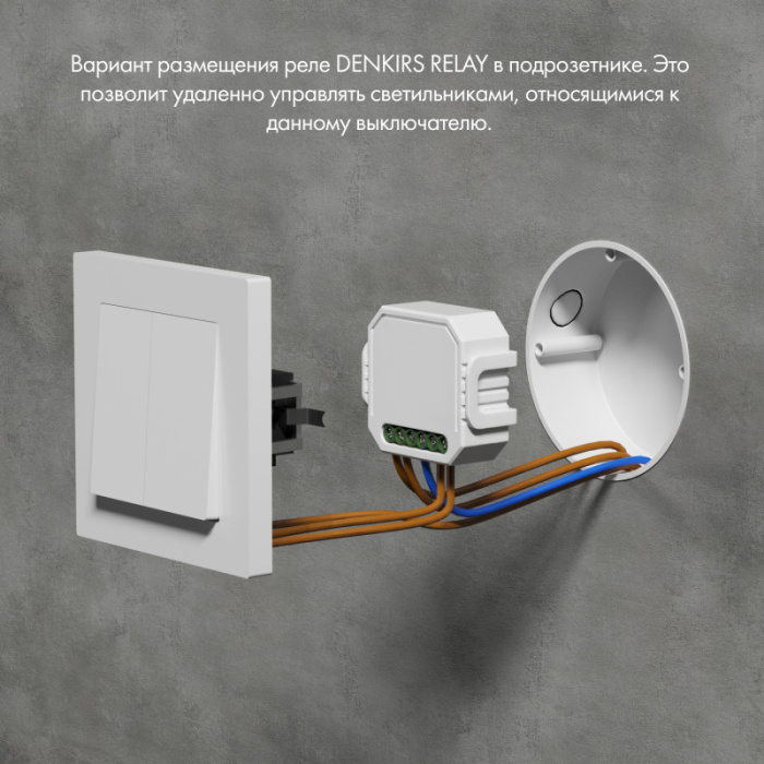 Wi-Fi реле Denkirs Relay RL1004-DM