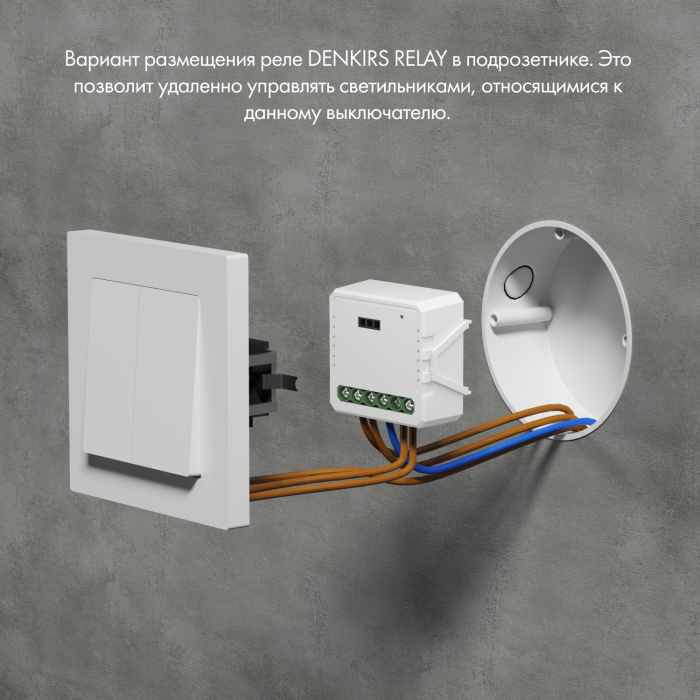 Wi-Fi реле Denkirs Relay RL1004-DM