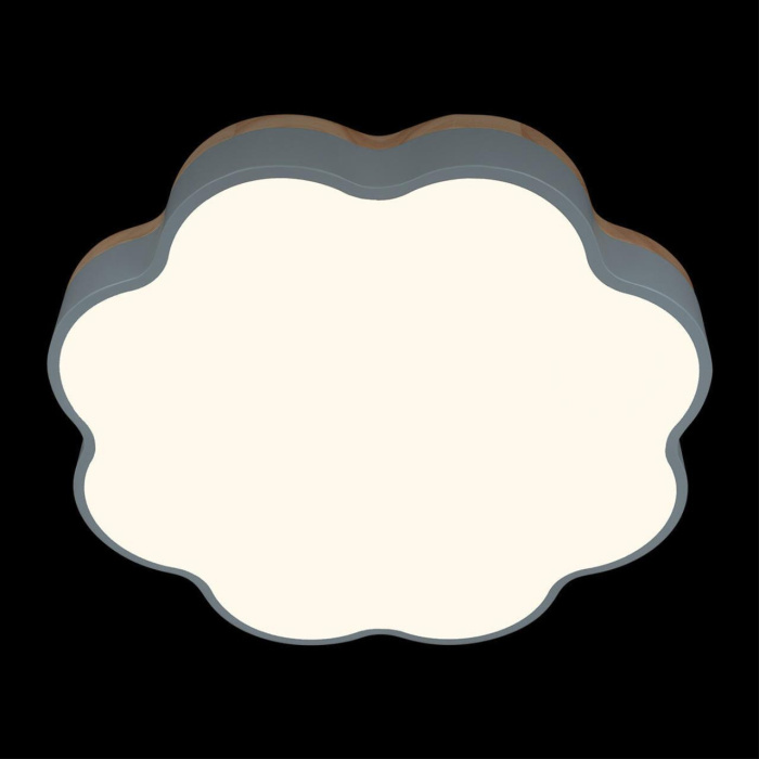 Потолочный светильник Loft it Axel 10225/36 Blue