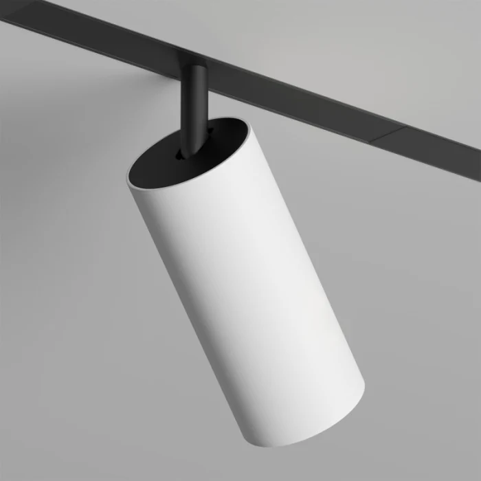 Светильник на шине Denkirs SMART SPOT DK8041-BW+BK